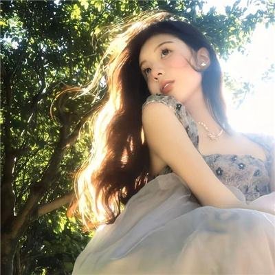 撒谎的侦探